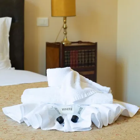 Elegant In Apartamento *